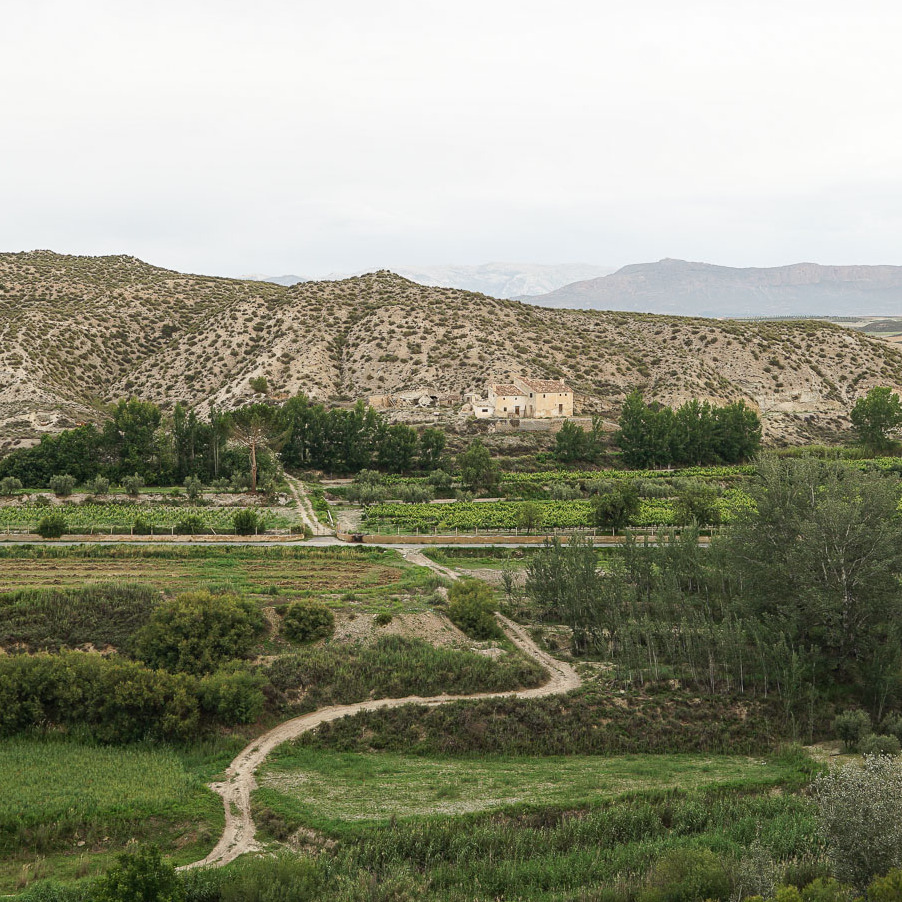 ENTRADA